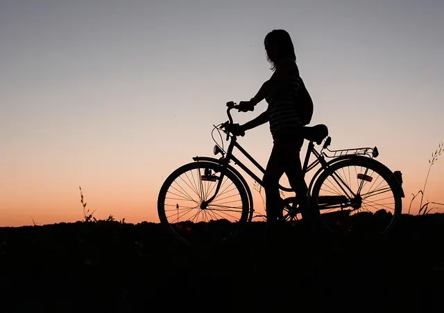 Guide d'achat vélo électrique : critères et comparatif